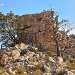 09_CLT_Gents_Trek_2024_original